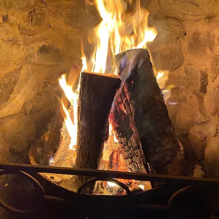 Uue-mardi Majutus Apartament