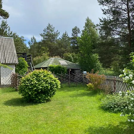 Uue-mardi Majutus Apartmán *