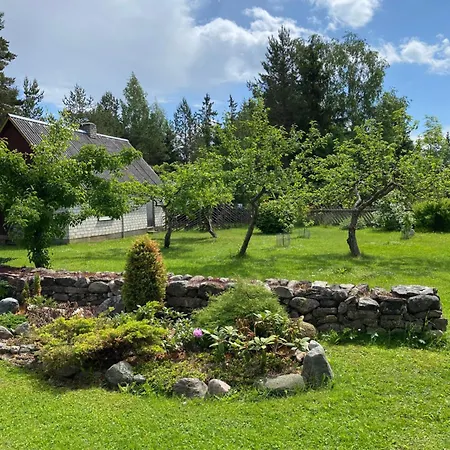 Apartmán Uue-mardi Majutus