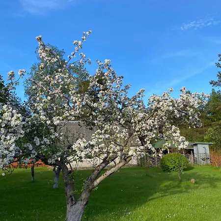 Uue-mardi Majutus Lejlighed Kärdla
